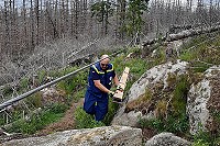 THW Halberstadt übt Materialtransport und unterstützt damit Nationalparkverwaltung bei Wegebau