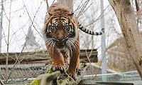 Sommerferien im Bergzoo Halle Saale