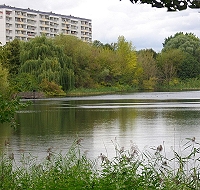 Blaualgen im Neustädter See