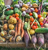 Vielfalt im Garten auf der LAGA Bad Dürrenberg