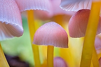 Fotowettbewerb HarzNATUR: Senden Sie Ihre Bilder ein!